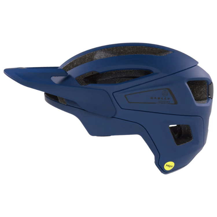 Copy of BSC Online 244 1 png
